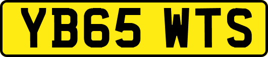 YB65WTS