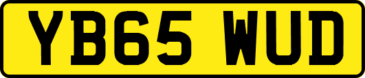 YB65WUD