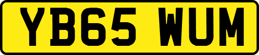 YB65WUM