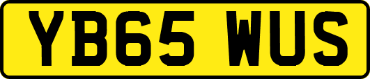 YB65WUS