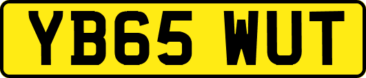 YB65WUT