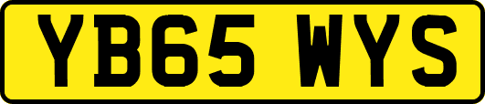YB65WYS