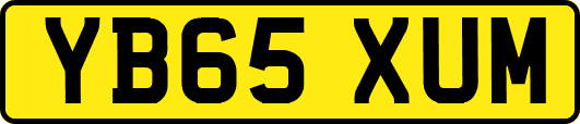 YB65XUM