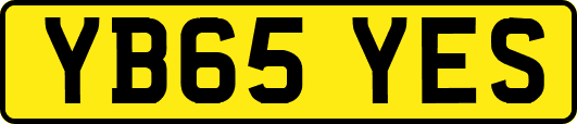 YB65YES