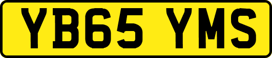 YB65YMS