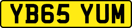 YB65YUM