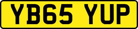 YB65YUP