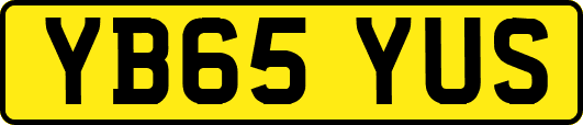 YB65YUS