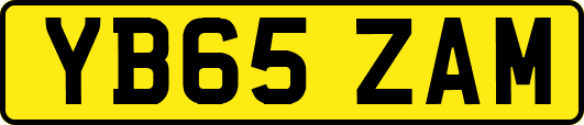 YB65ZAM