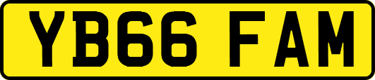 YB66FAM