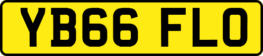 YB66FLO