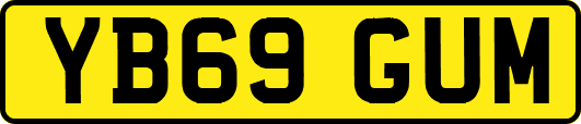 YB69GUM