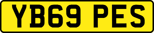 YB69PES