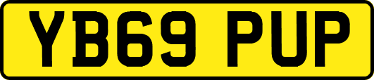 YB69PUP