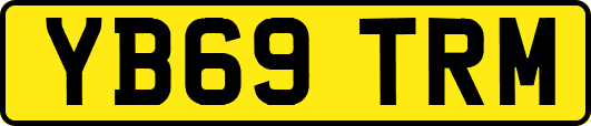 YB69TRM
