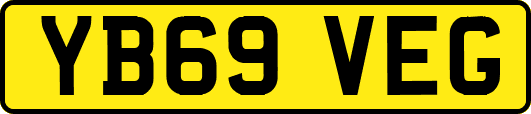 YB69VEG