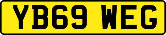YB69WEG
