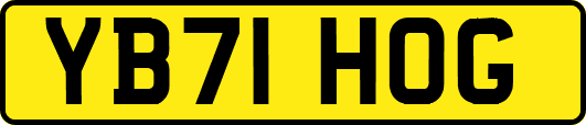 YB71HOG