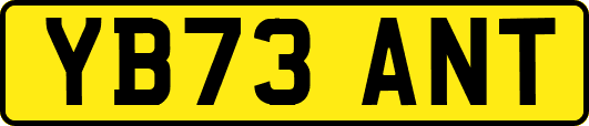 YB73ANT