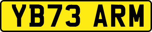 YB73ARM