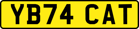 YB74CAT