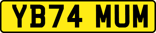 YB74MUM