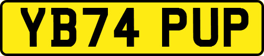 YB74PUP