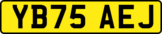 YB75AEJ