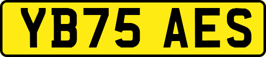 YB75AES