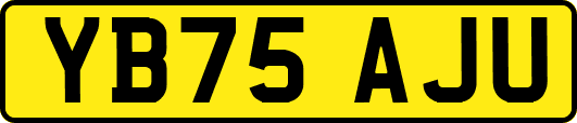 YB75AJU