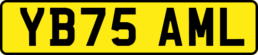 YB75AML