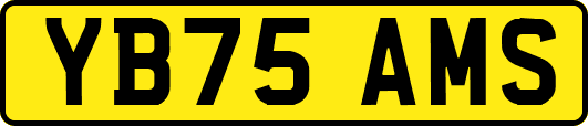 YB75AMS