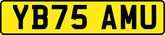 YB75AMU