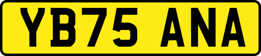 YB75ANA