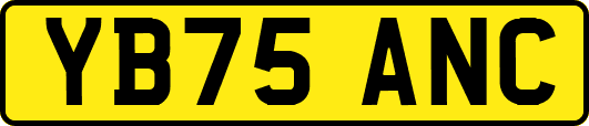 YB75ANC