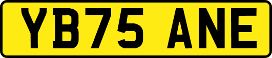 YB75ANE