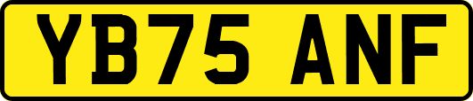 YB75ANF