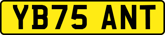 YB75ANT