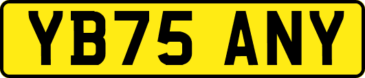 YB75ANY