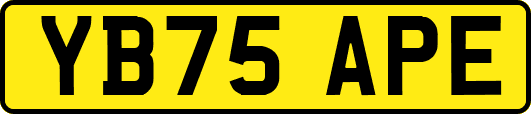 YB75APE