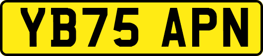 YB75APN