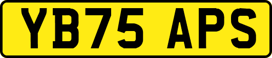 YB75APS