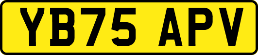 YB75APV