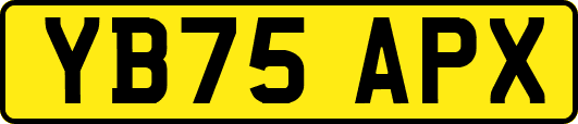 YB75APX