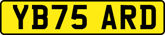 YB75ARD