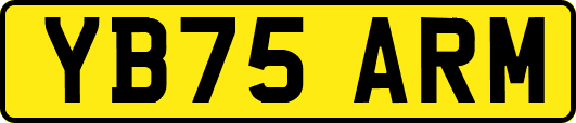 YB75ARM