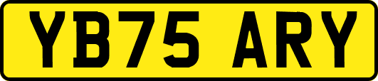 YB75ARY