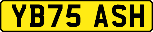 YB75ASH