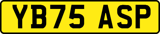 YB75ASP