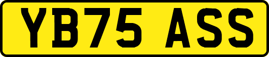 YB75ASS
